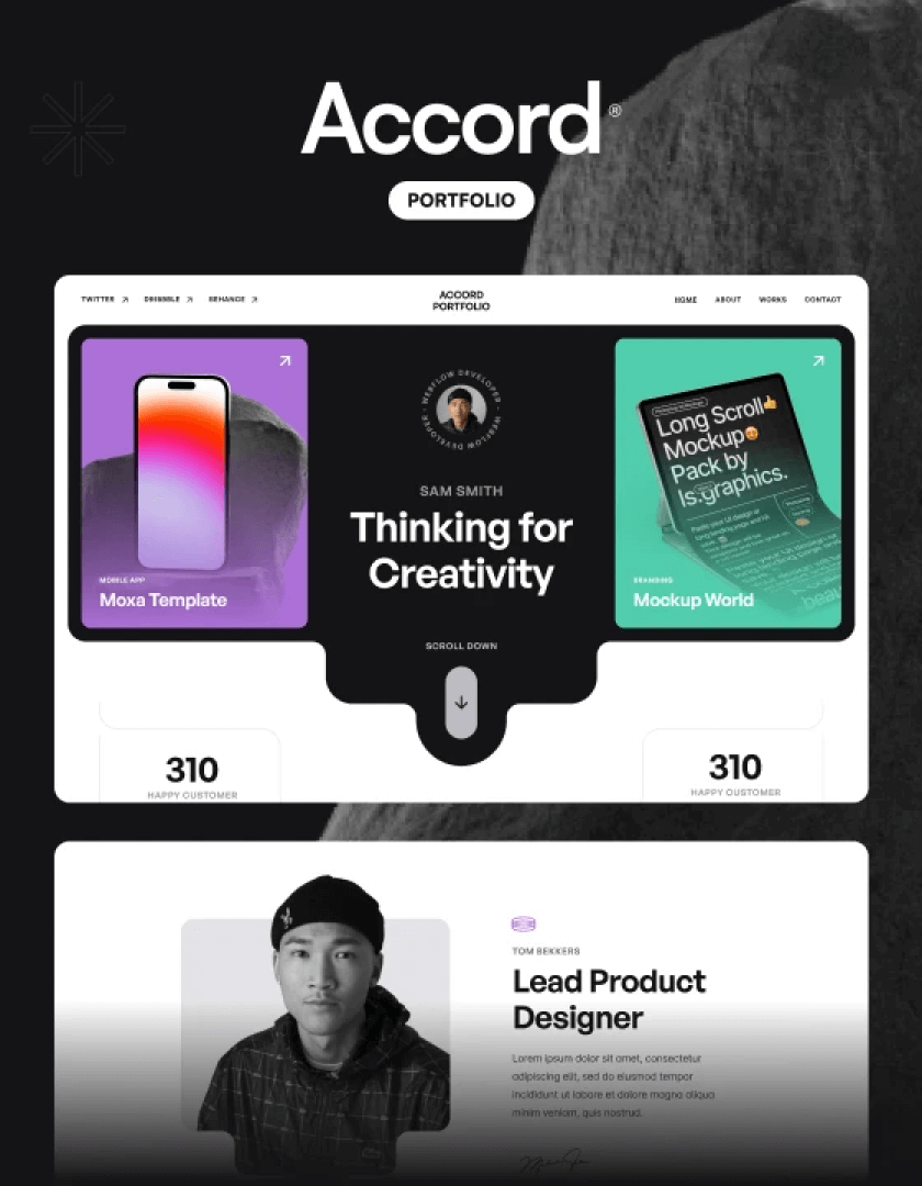 Accord Portfolio Template Template Flowbase